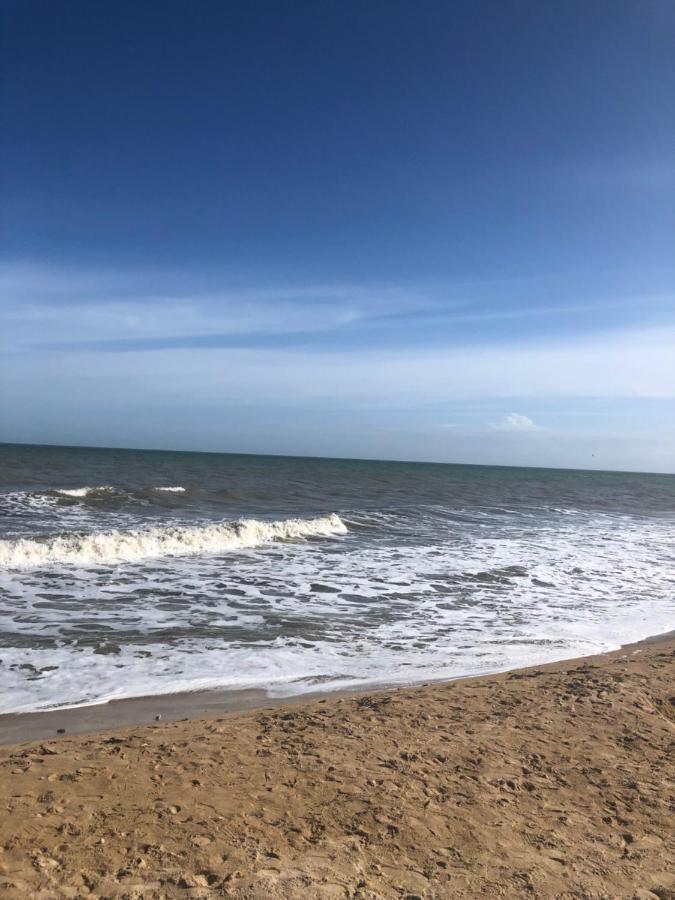Le Spot, Appartement Spacieux A 30M De La Mer 45M2 Luc-sur-Mer Eksteriør bilde